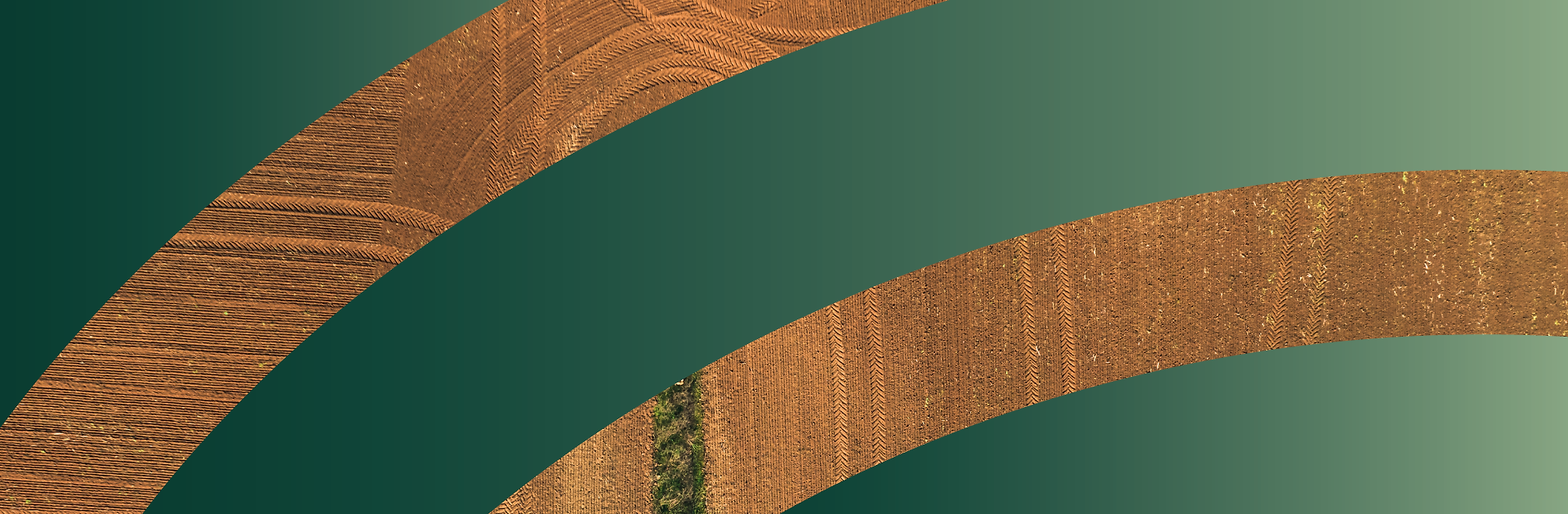 green slider background